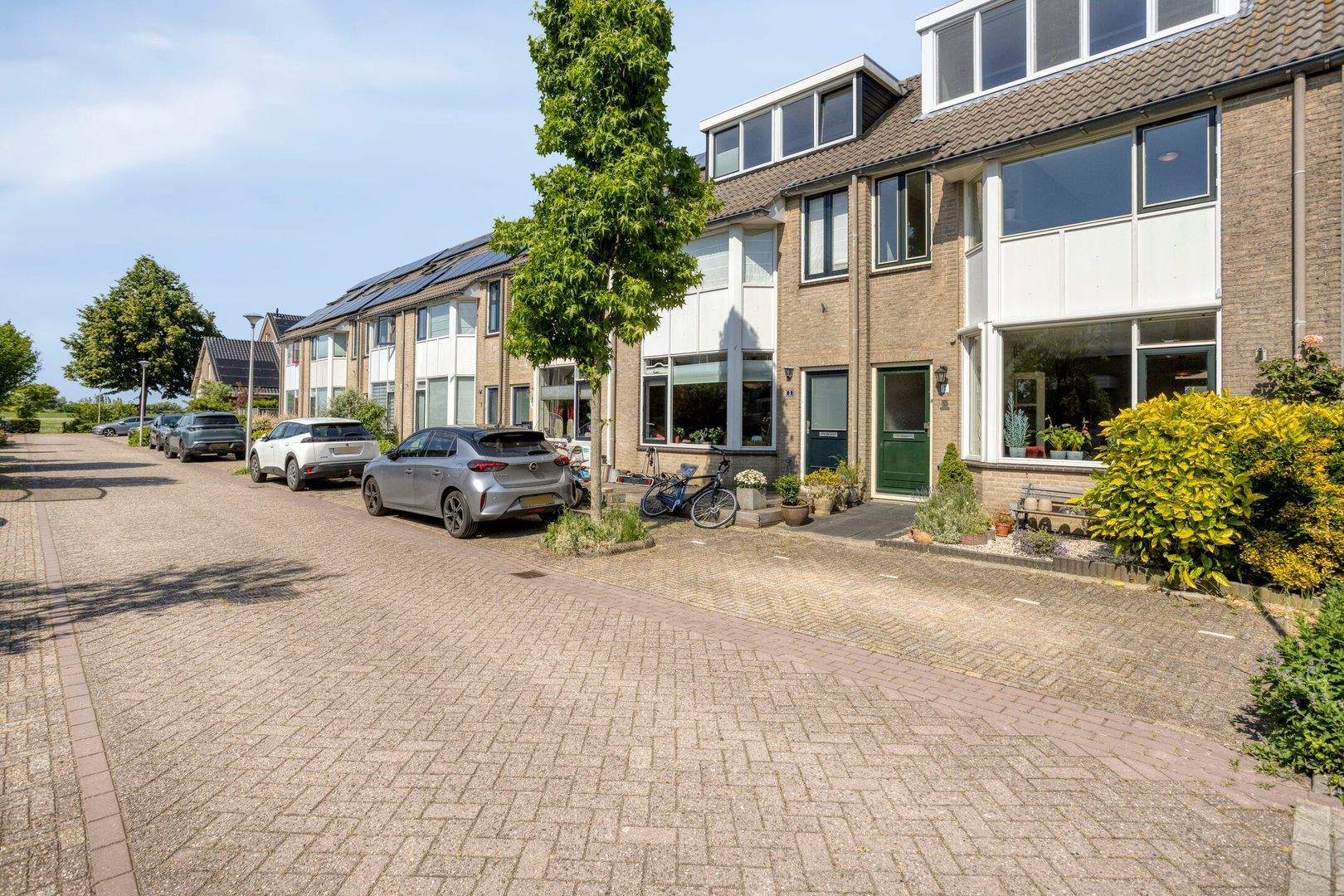 Zwanebloem 1, Woubrugge foto-35