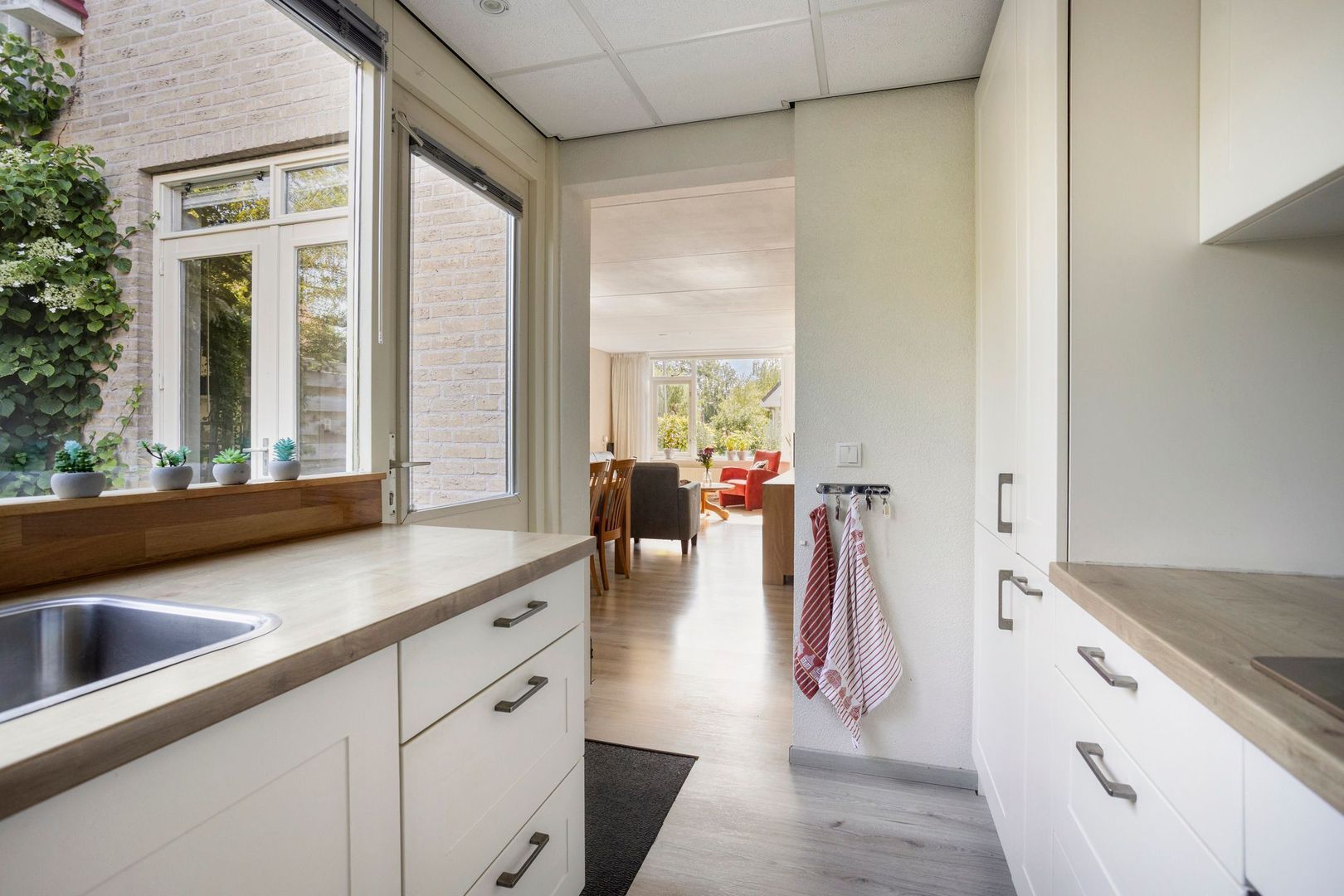 Zwanebloem 1, Woubrugge foto-12