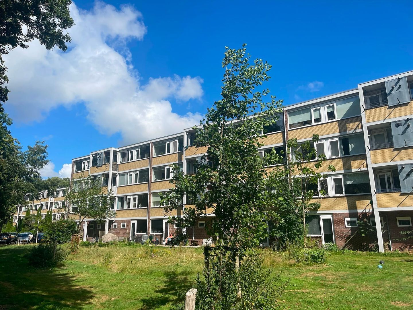 Friezenhorst 25 b, Sassenheim foto-23
