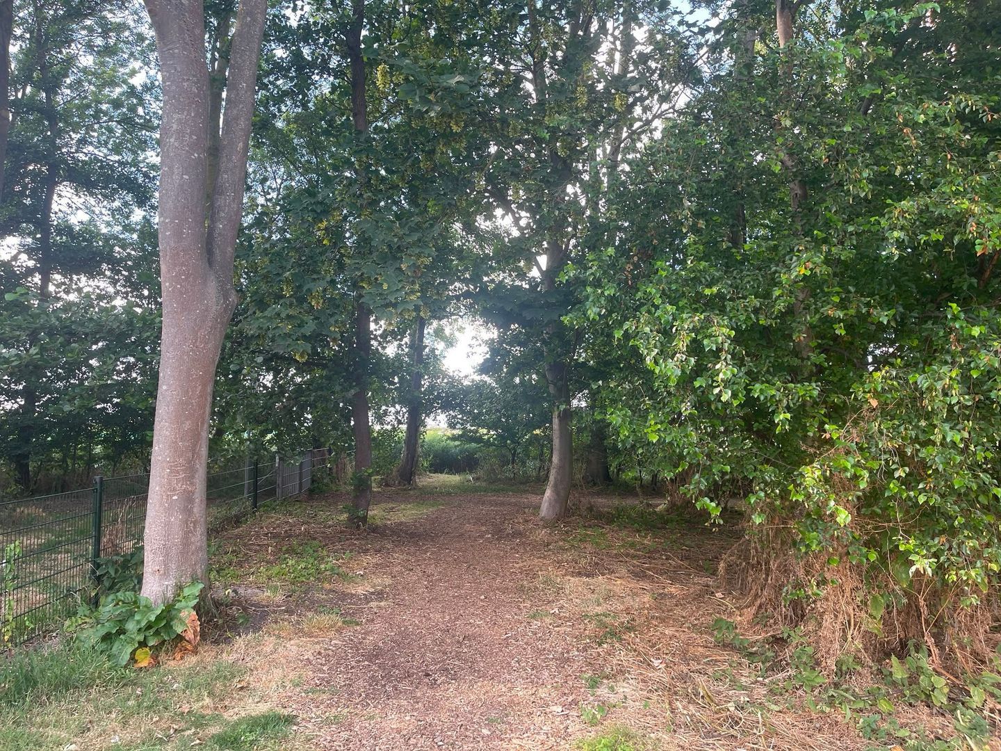 Friezenhorst 25 b, Sassenheim foto-24