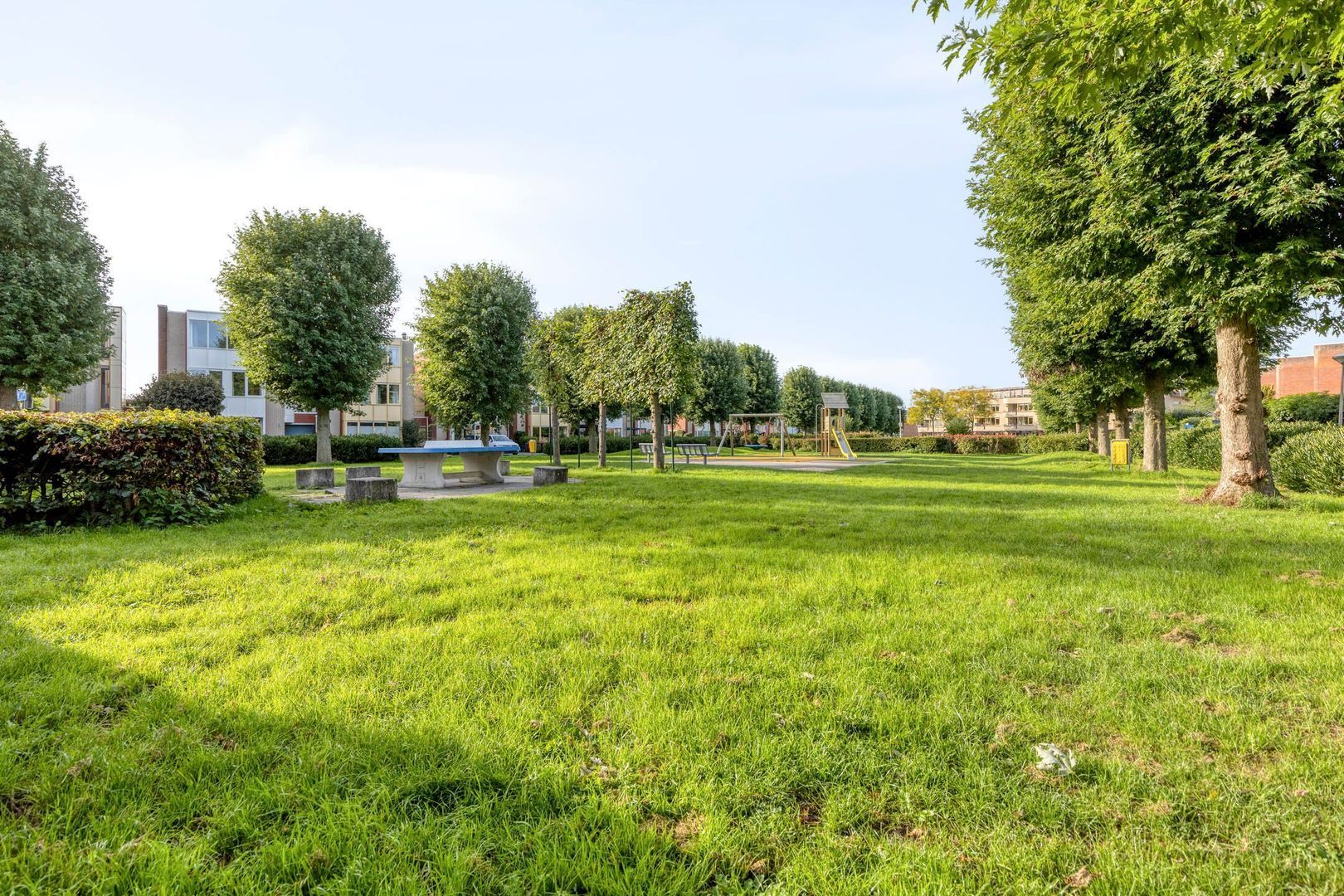 Morgen 21, Alphen Aan Den Rijn foto-43