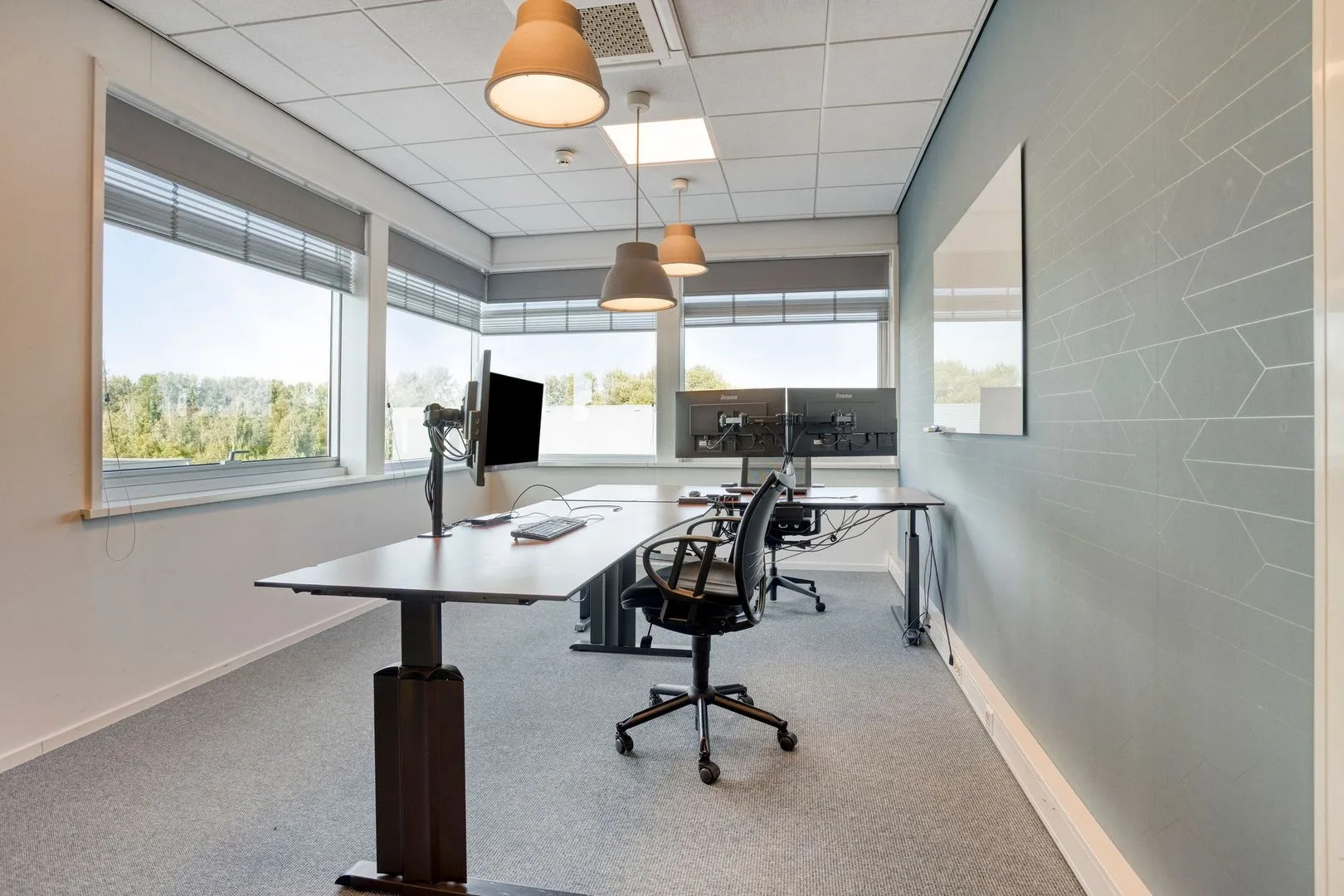 Lireweg 46, Nieuw-Vennep foto-10 blur