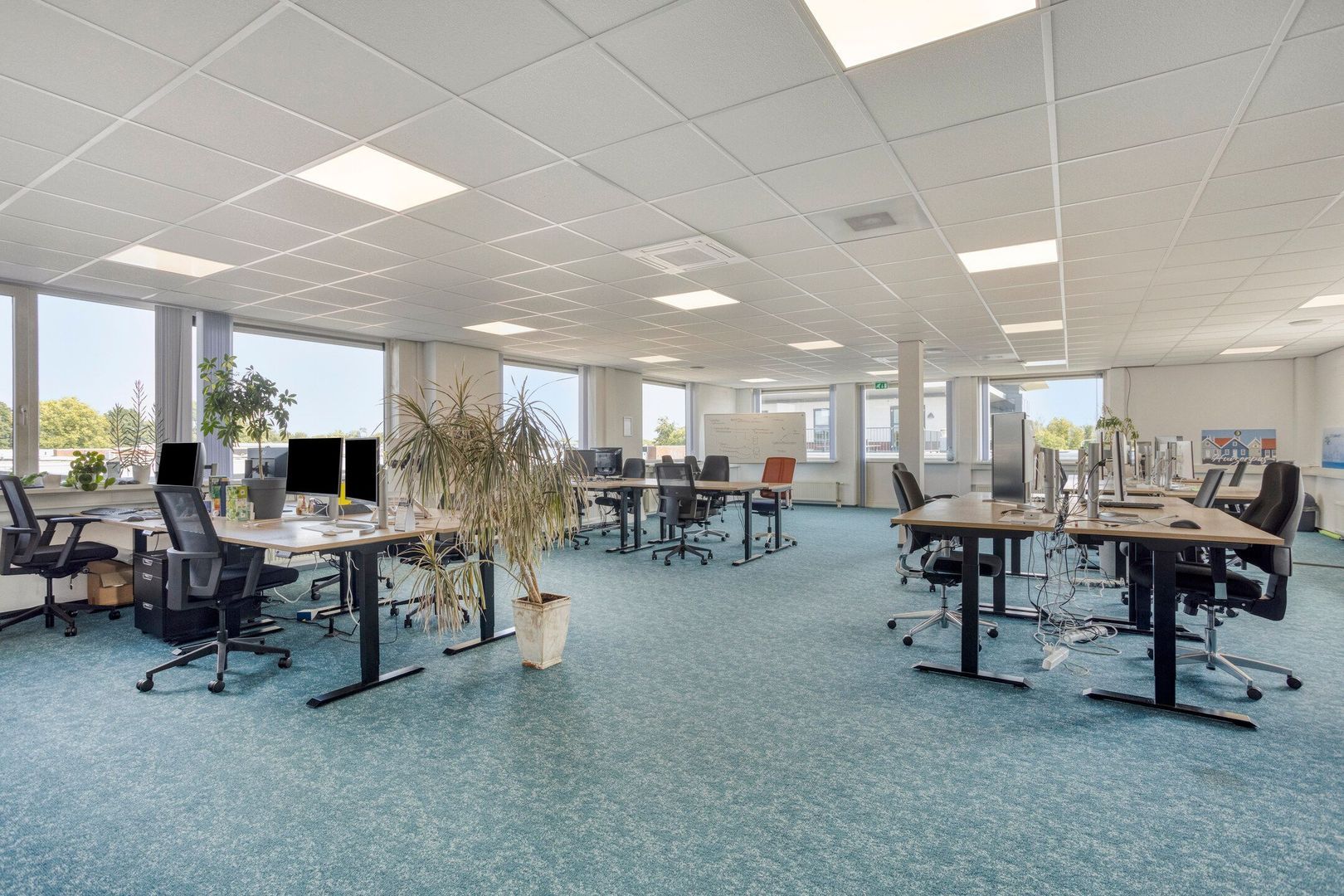 Witteweg 4 B, Aalsmeer foto-9 blur