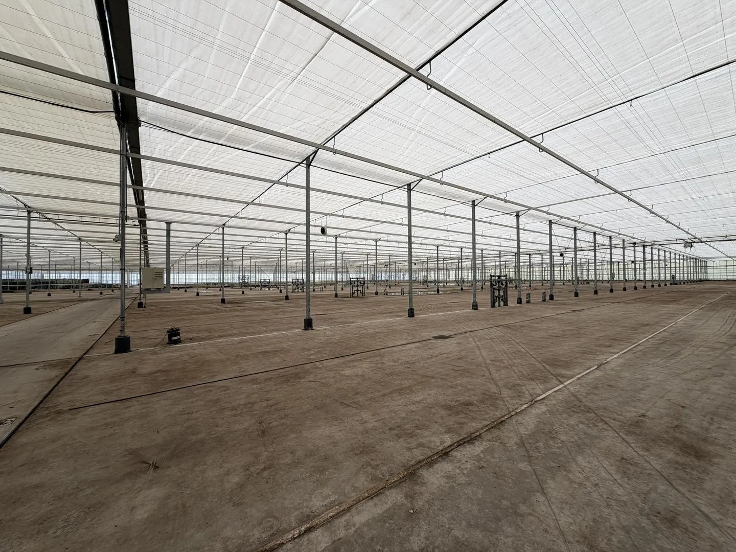 Rietwijkeroordweg 69 kwek, Aalsmeer foto-3 blur