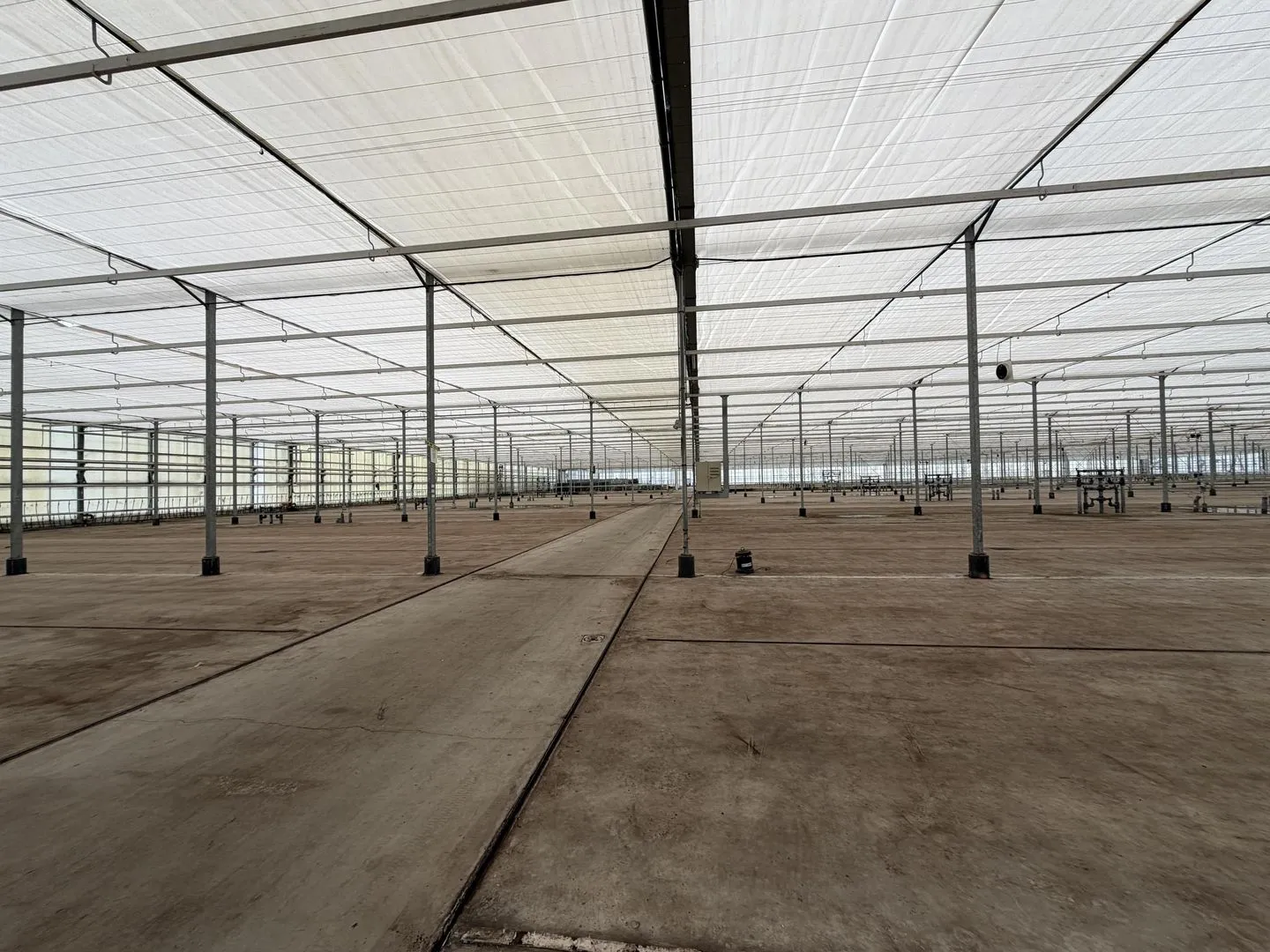 Rietwijkeroordweg 69 kwek, Aalsmeer foto-4 blur