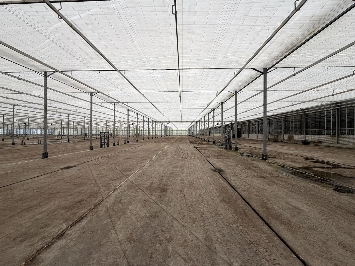 Rietwijkeroordweg 69 kwek, Aalsmeer foto-5 blur