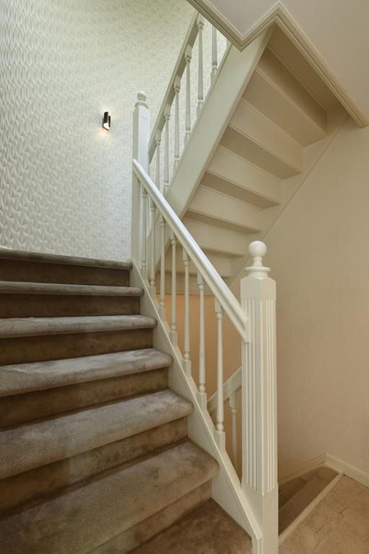 Sole Miopark 3, Noordwijk foto-19