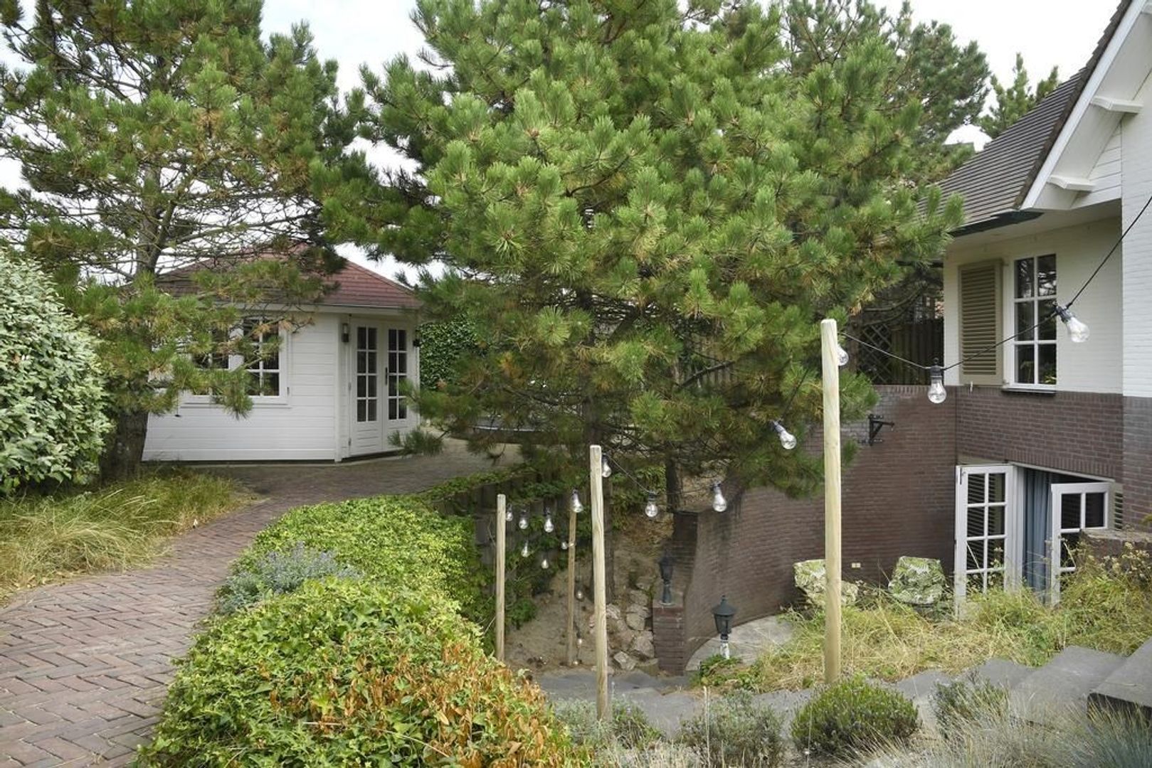 Sole Miopark 3, Noordwijk foto-30