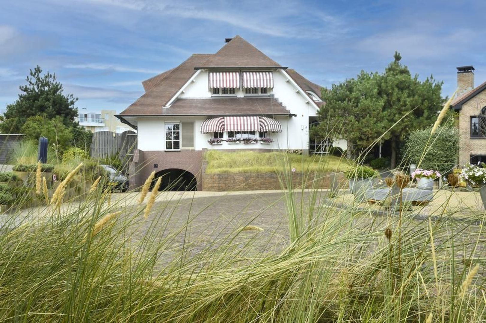 Sole Miopark 3, Noordwijk foto-1