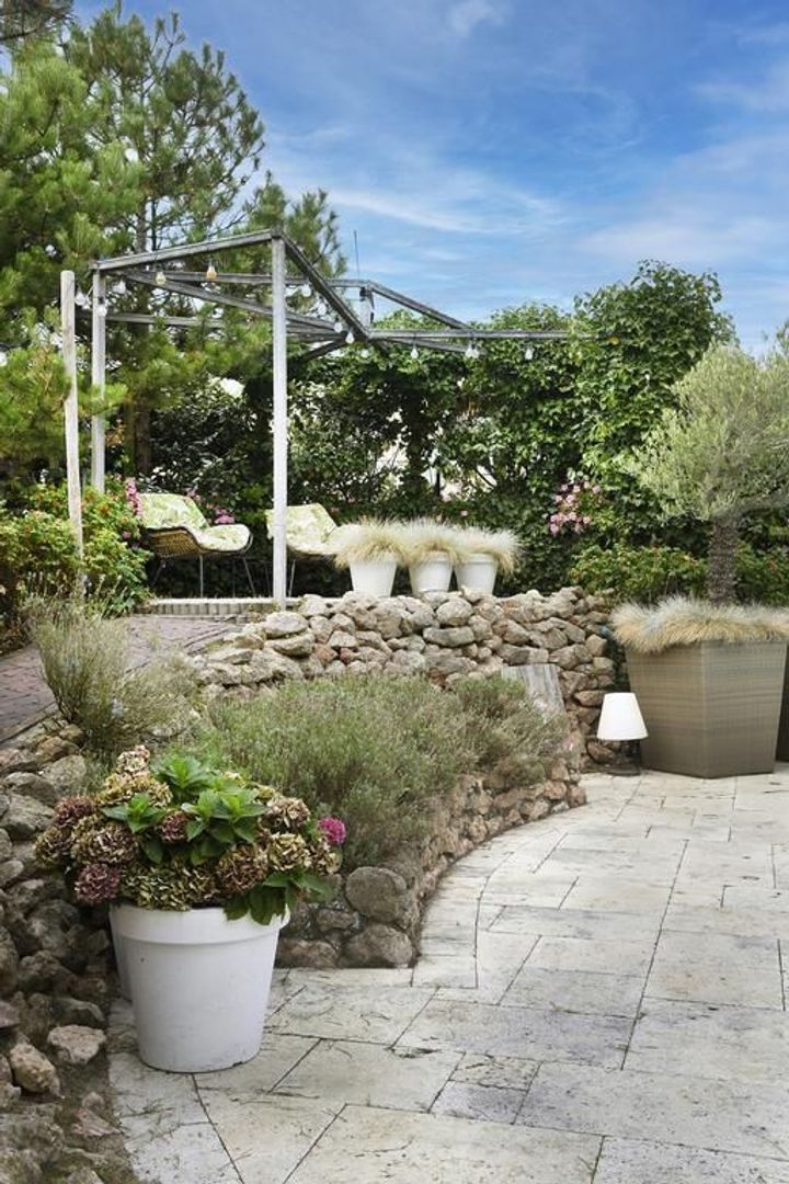 Sole Miopark 3, Noordwijk foto-36