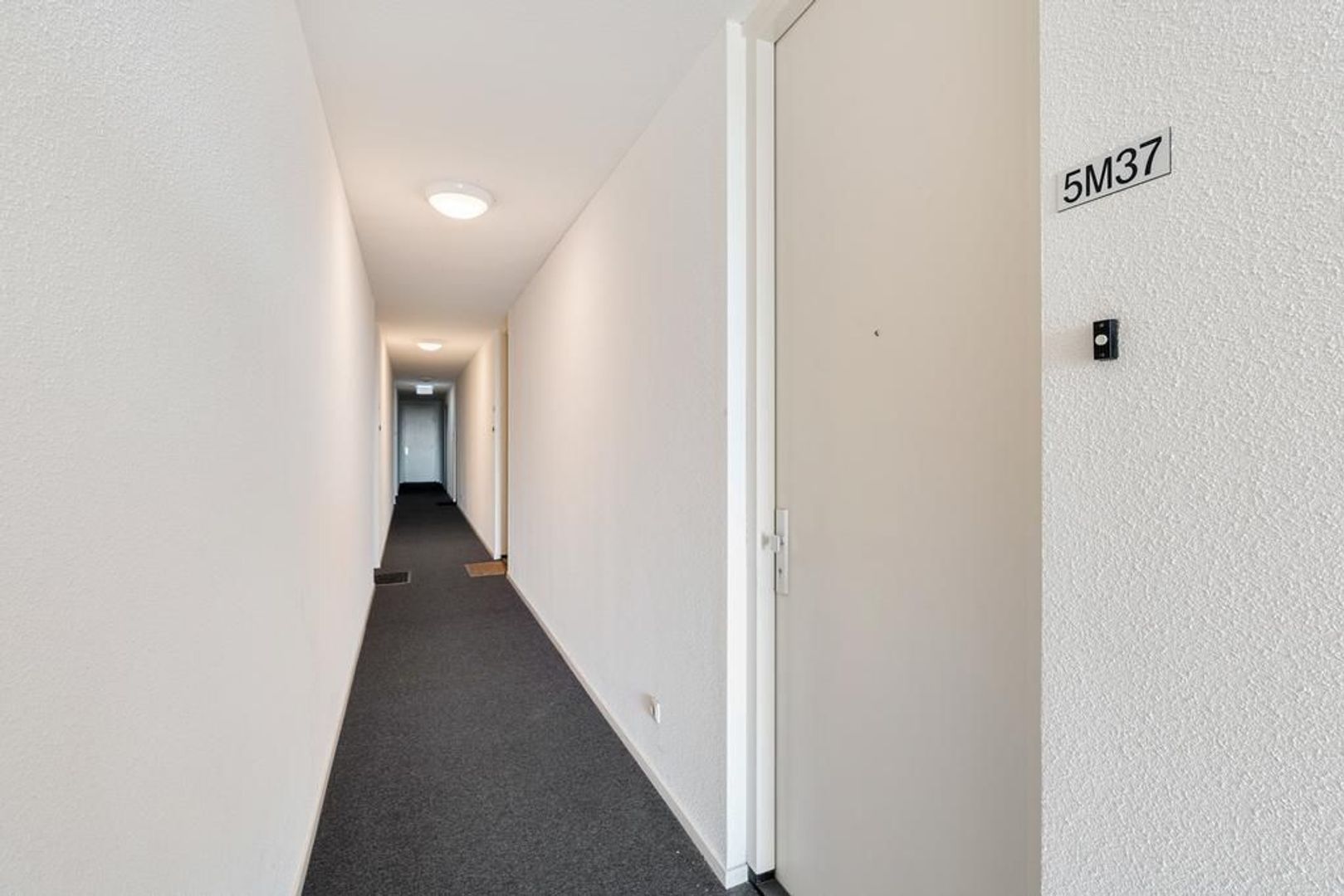 Coremolen 5 M37, Noordwijkerhout foto-19