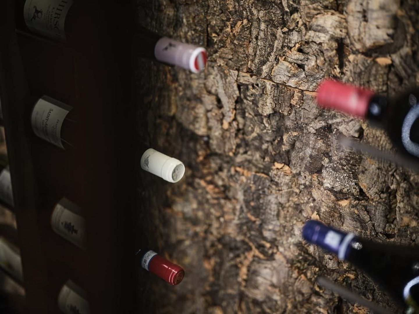 Rembrandtweg 9, Noordwijk foto-33