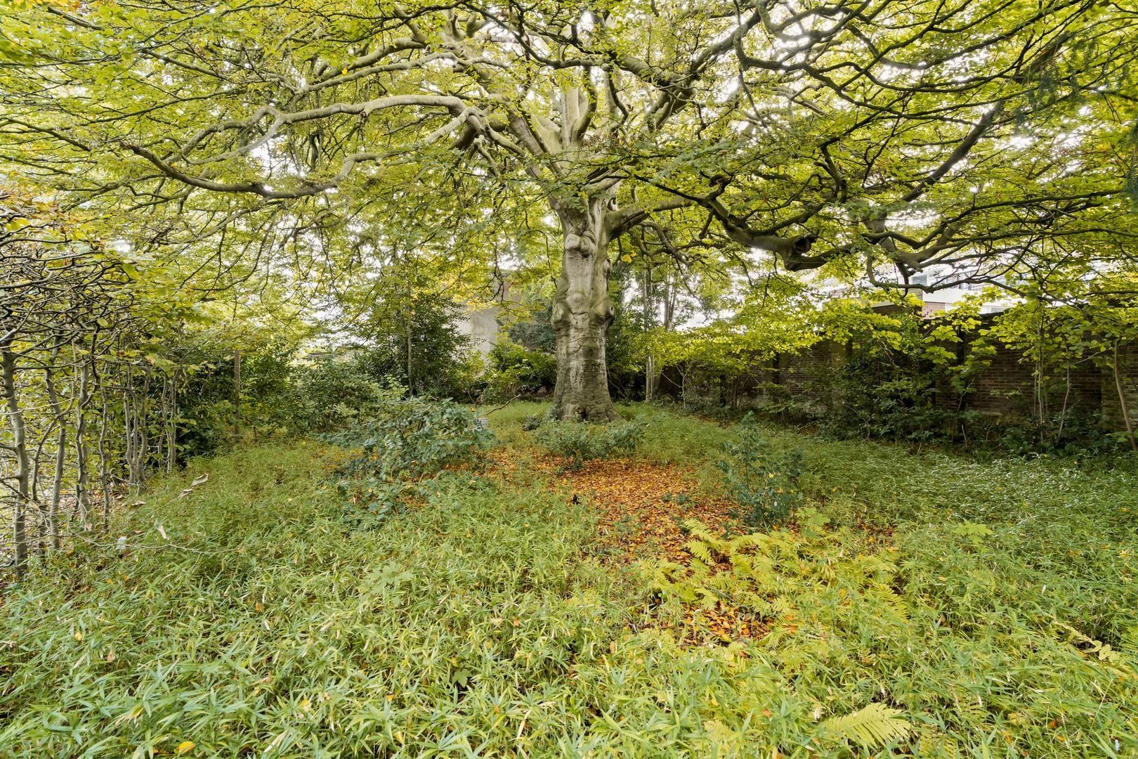Lindenplein 1, Noordwijk foto-64