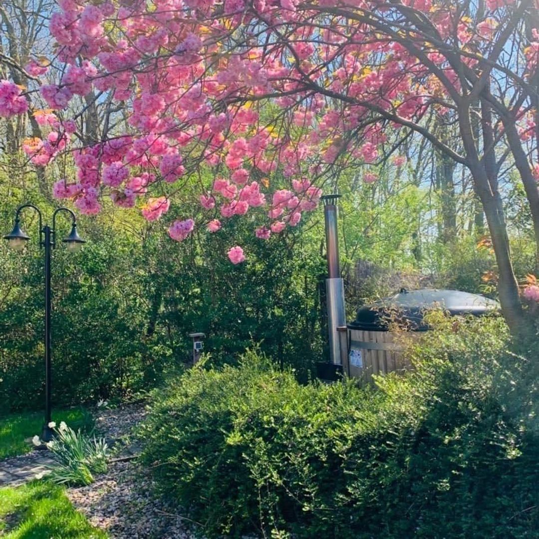 Duinschooten 12 112, Noordwijkerhout foto-17