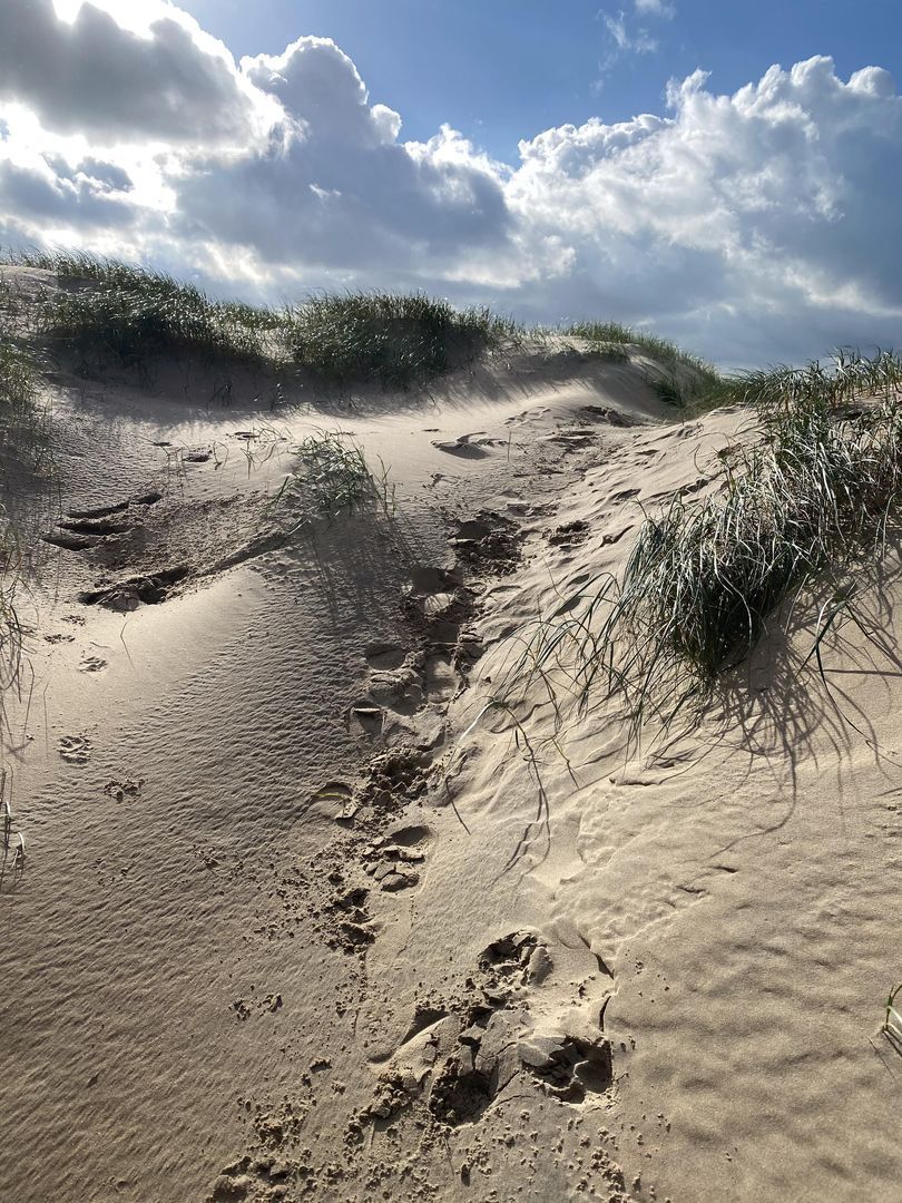 Koningin Astrid Boulevard 26 F, Noordwijk foto-55