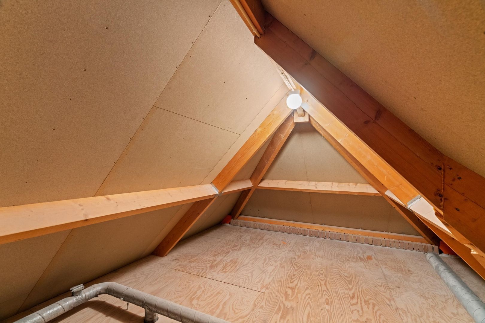 Sole Miopark 3, Noordwijk foto-34