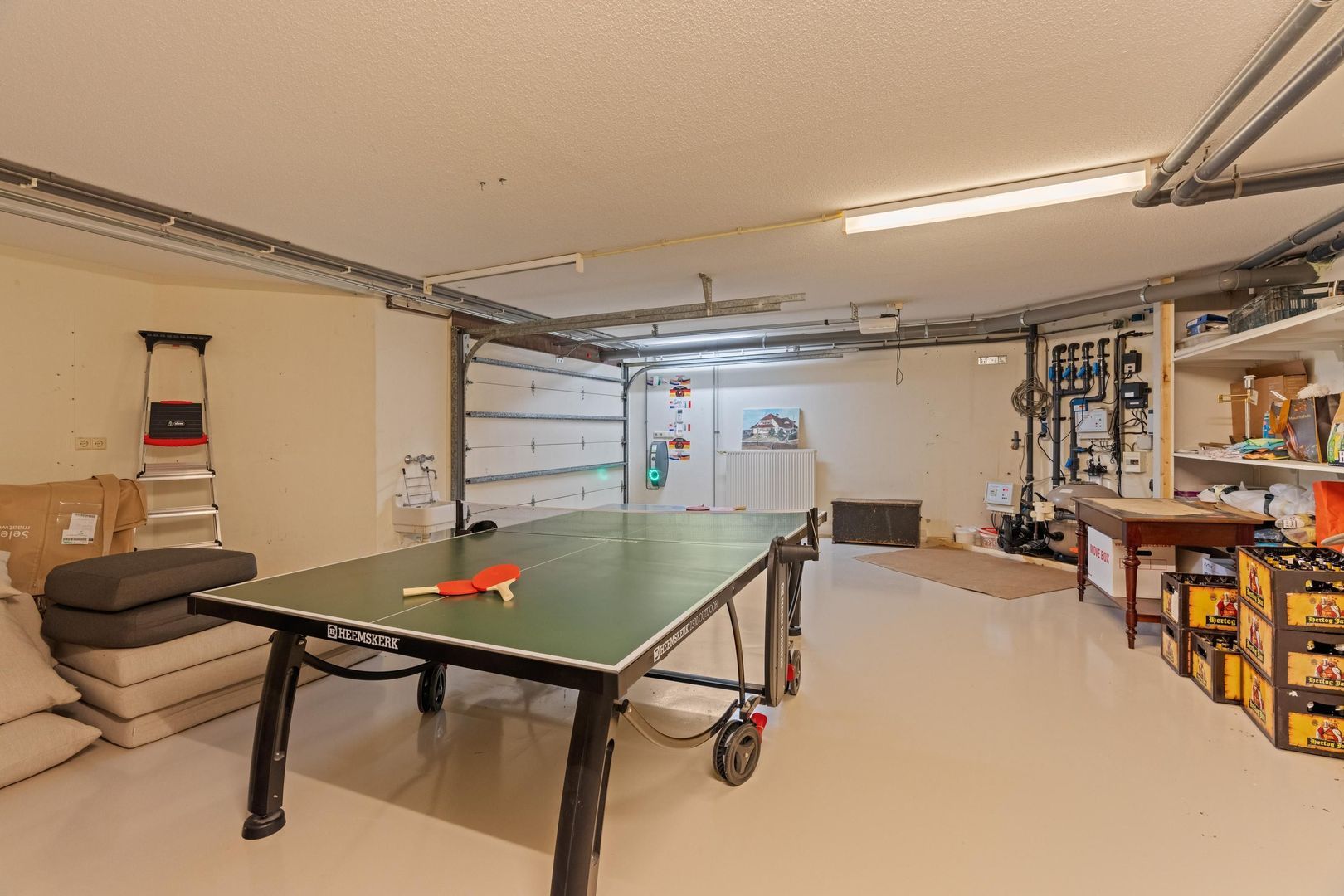 Sole Miopark 3, Noordwijk foto-41