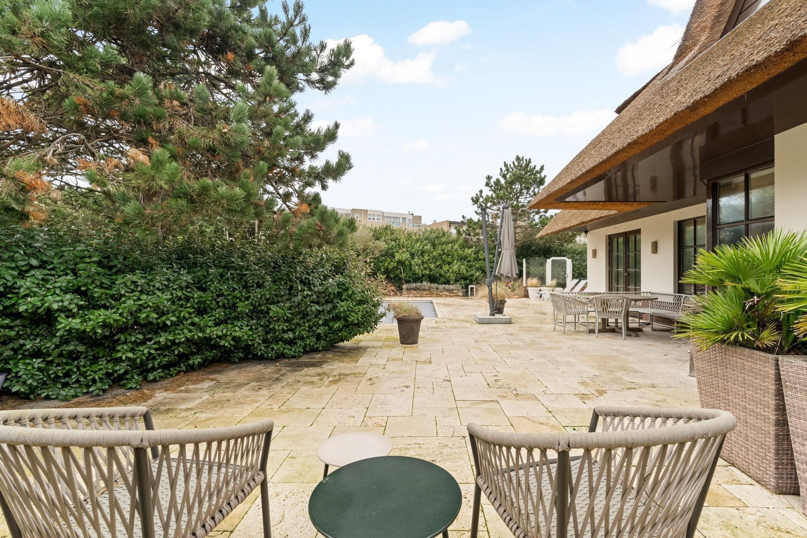 Sole Miopark 3, Noordwijk foto-44