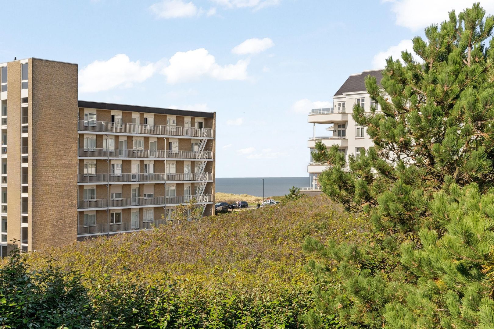 Sole Miopark 3, Noordwijk foto-32