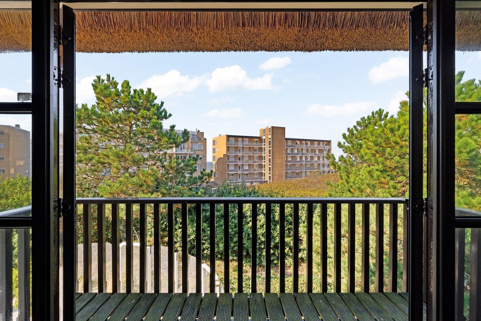 Sole Miopark 3, Noordwijk foto-31