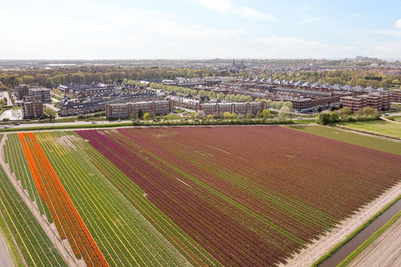 Peterhof 52, Noordwijk foto-33