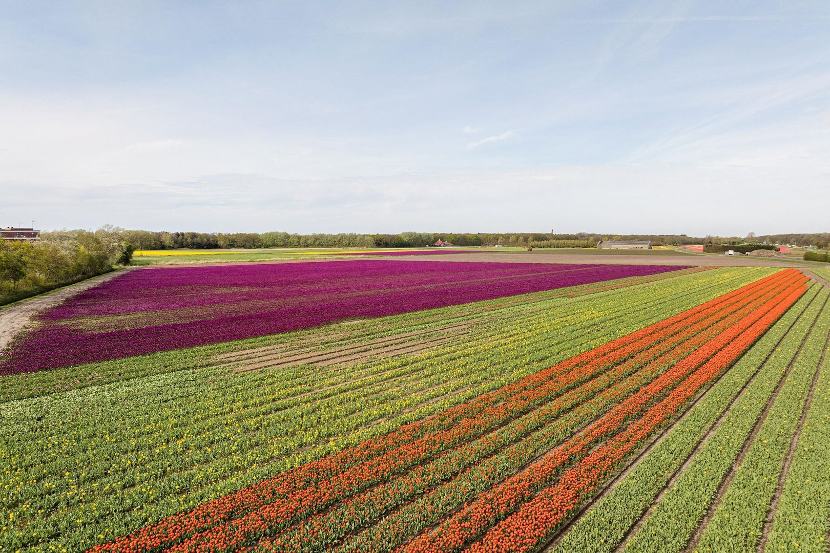 Peterhof 52, Noordwijk foto-34