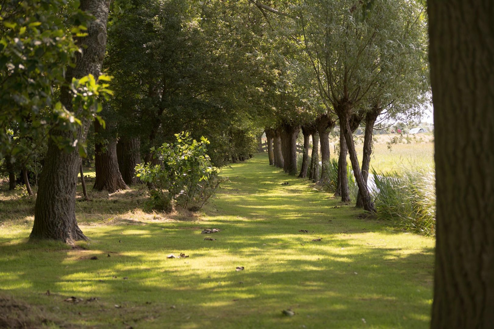 Rijnsburgerweg 5, Voorhout foto-50