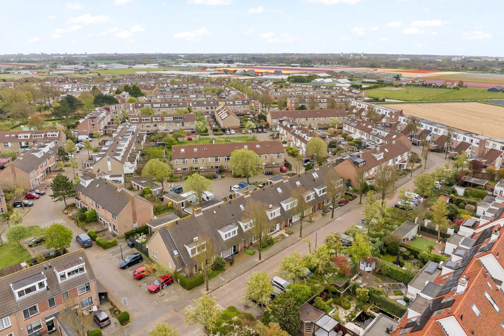 Alk 38, Noordwijk foto-1