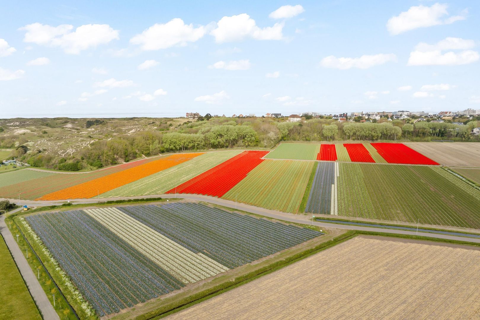 Hoogtij 185, Noordwijk foto-1