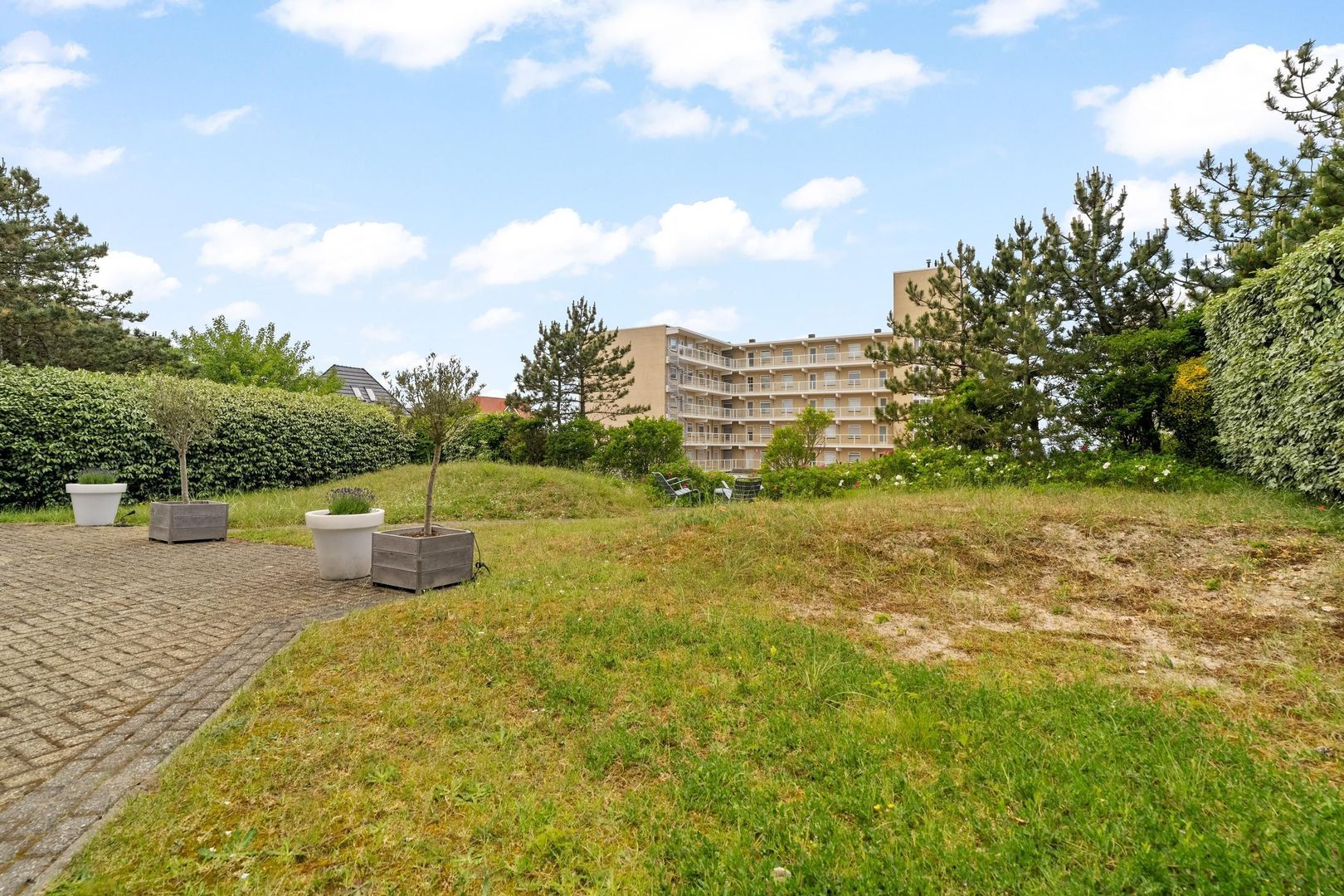 Sole Miopark 2, Noordwijk foto-13