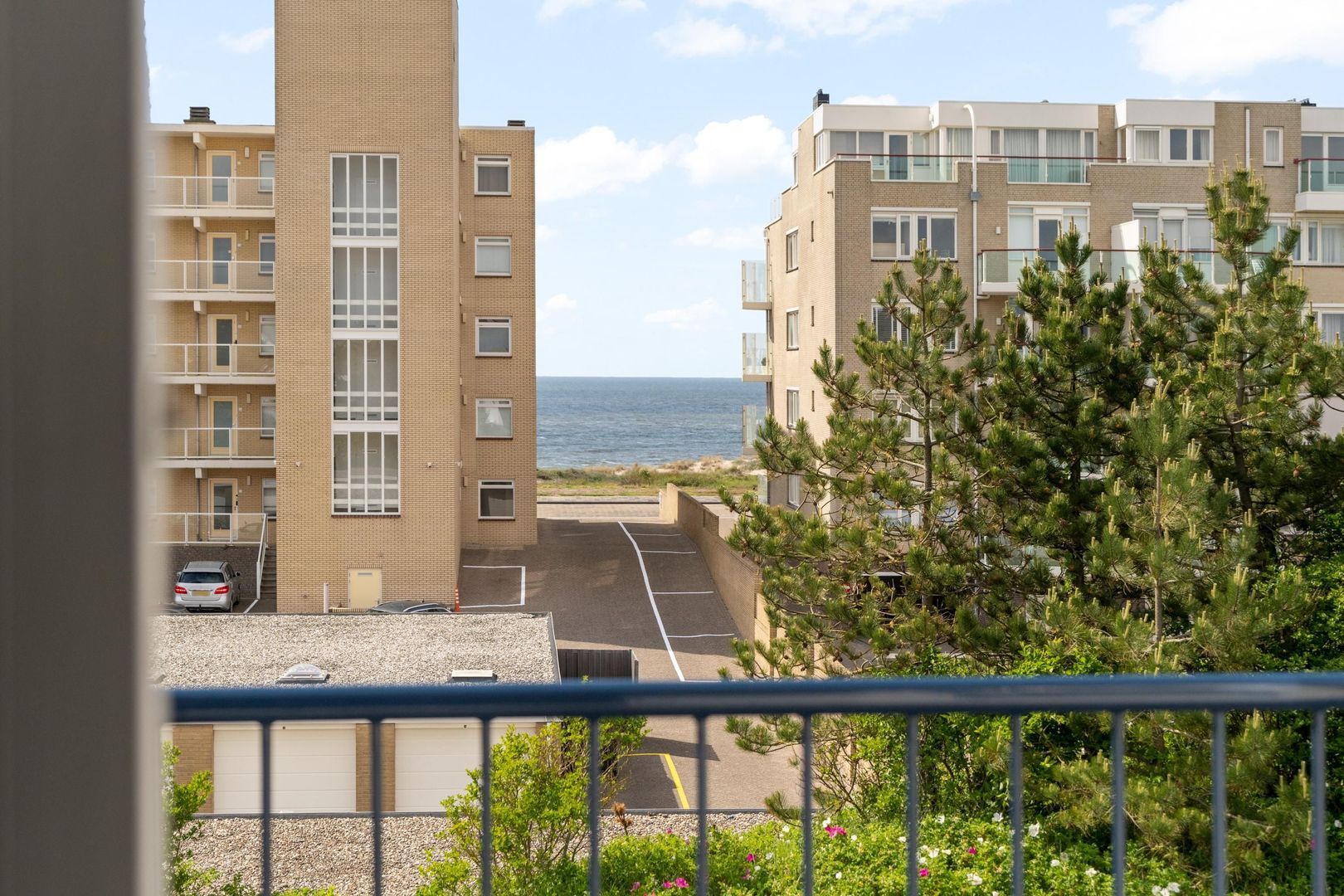 Sole Miopark 2, Noordwijk foto-32
