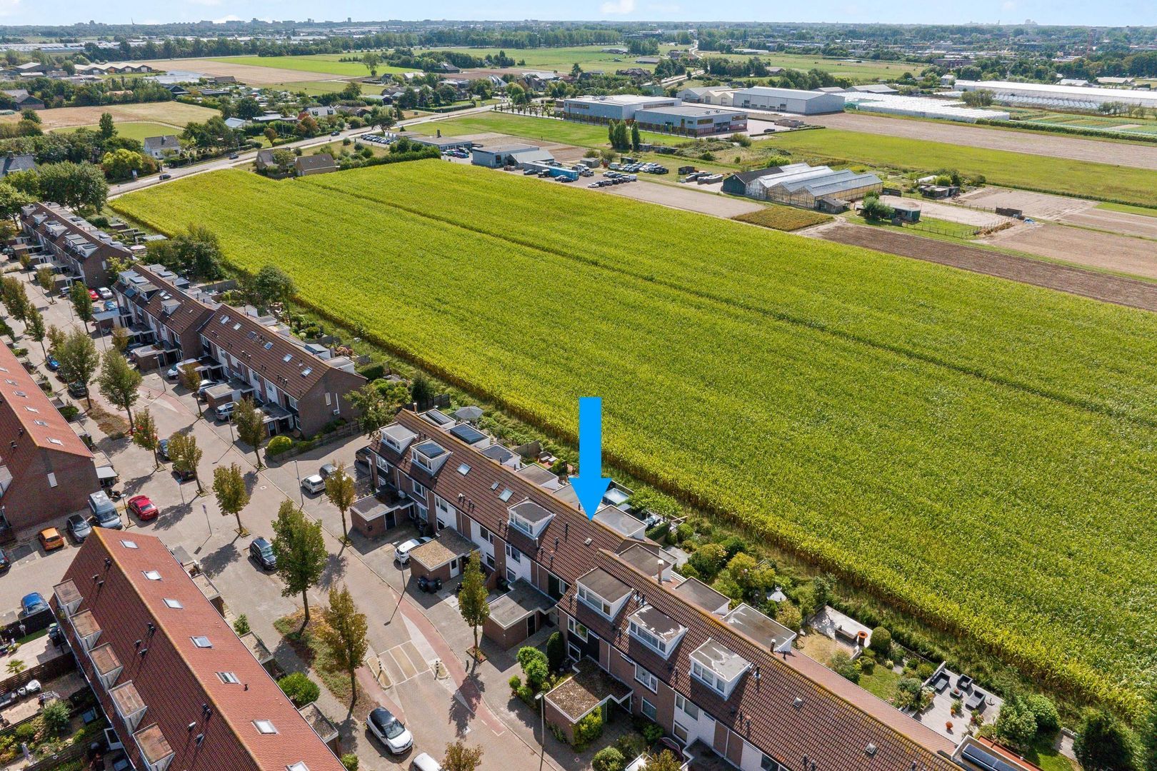 Tolhoren 55, Noordwijk foto-32