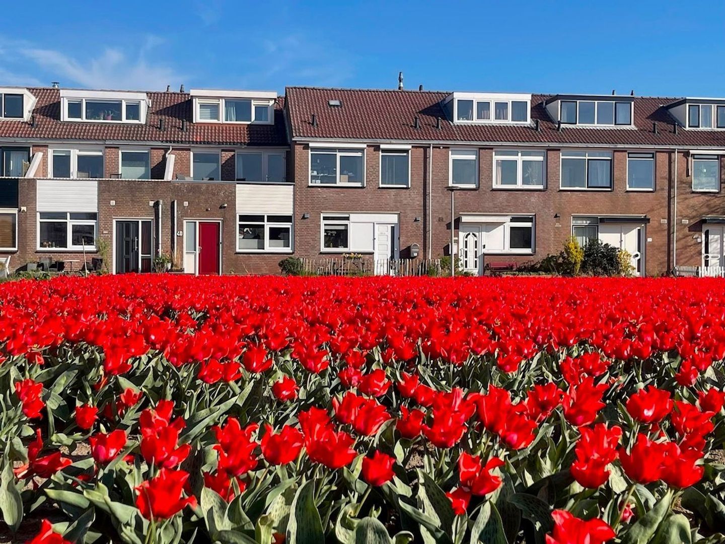 Jozef Beugelsdijkstraat 38, Noordwijk foto-33