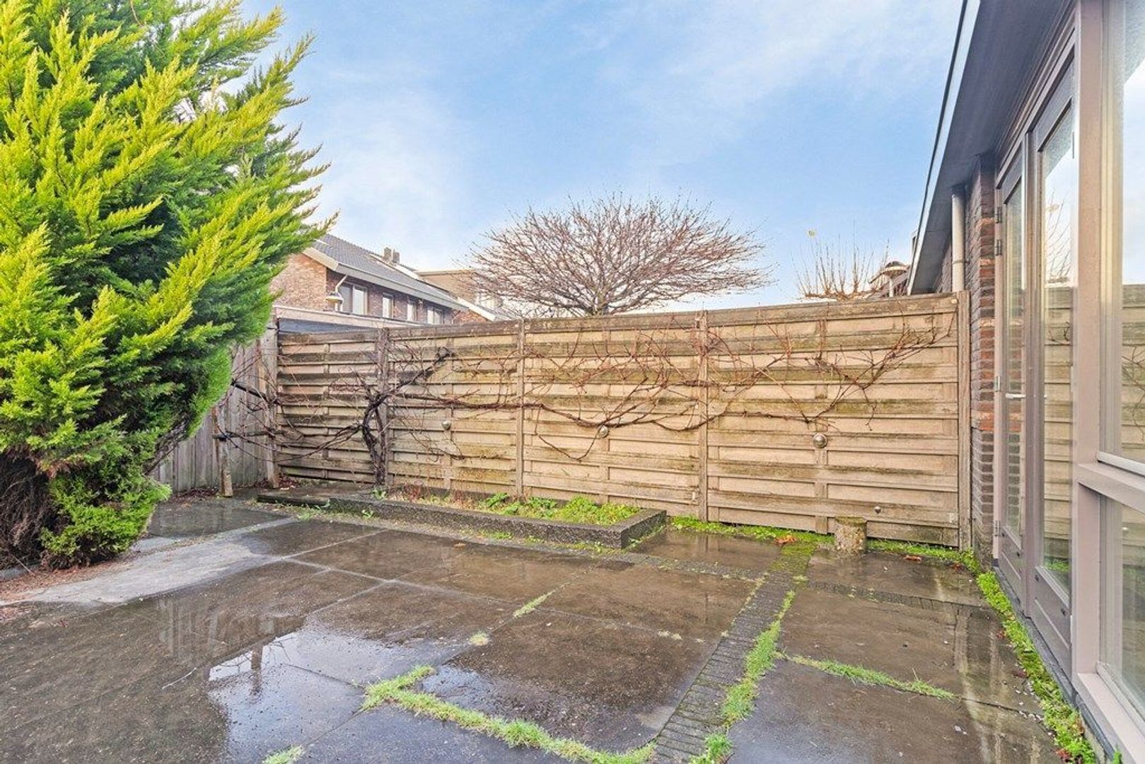 Senecastraat 22, Den Haag foto-6