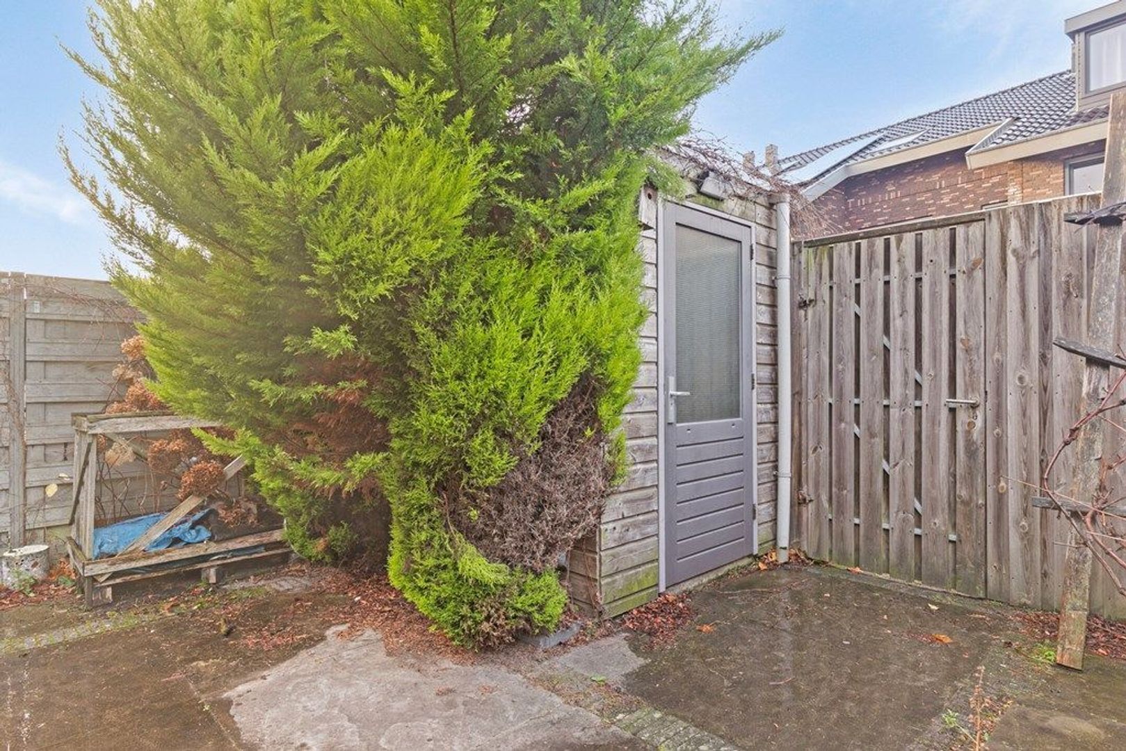 Senecastraat 22, Den Haag foto-7