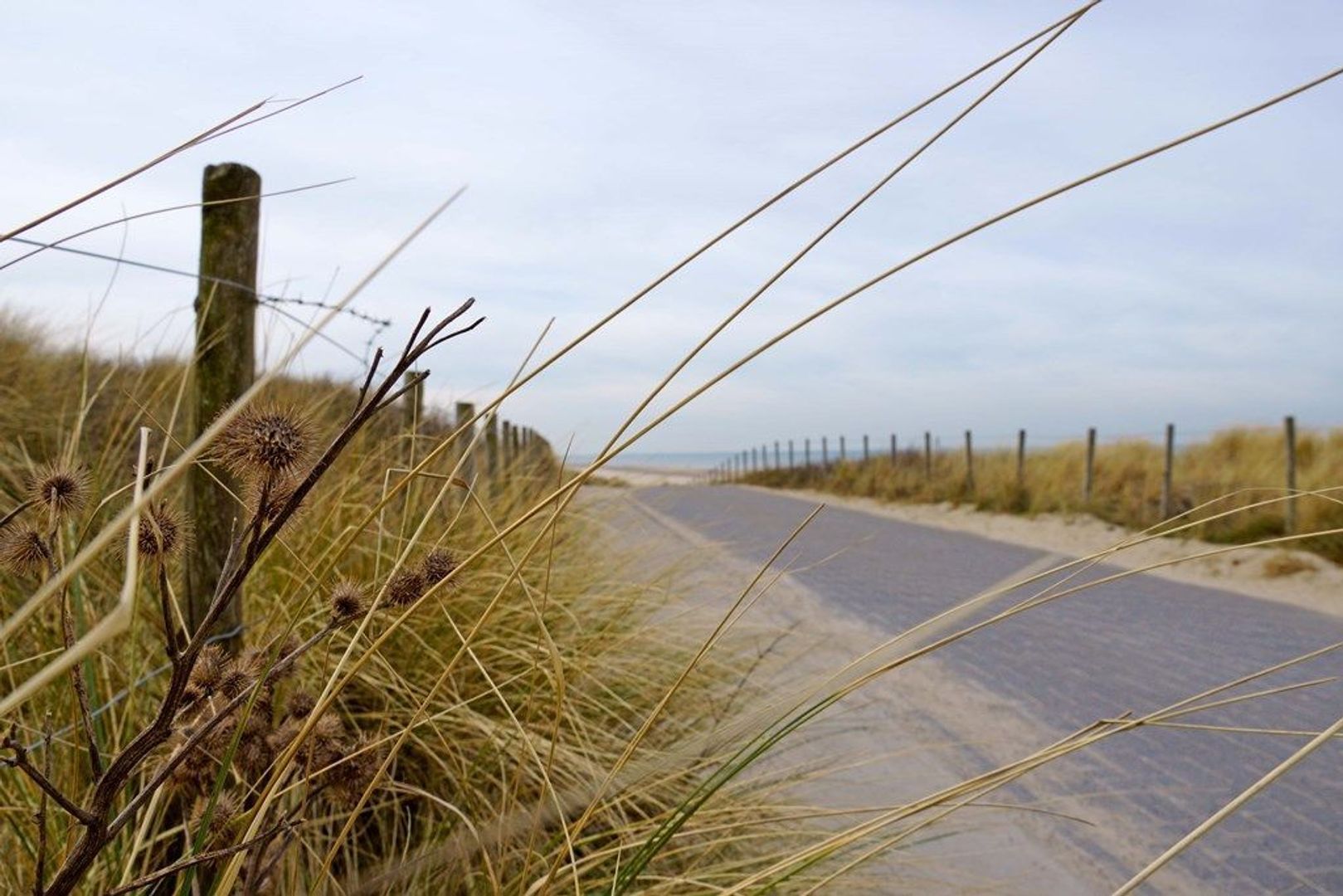 Landréstraat 1017, Den Haag foto-31