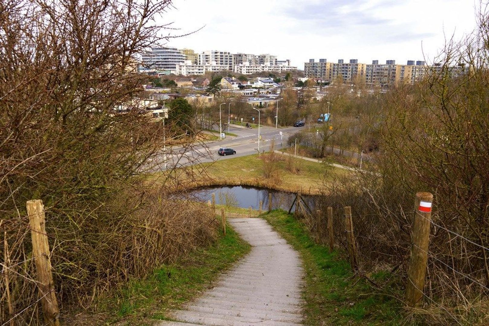 Landréstraat 1017, Den Haag foto-33