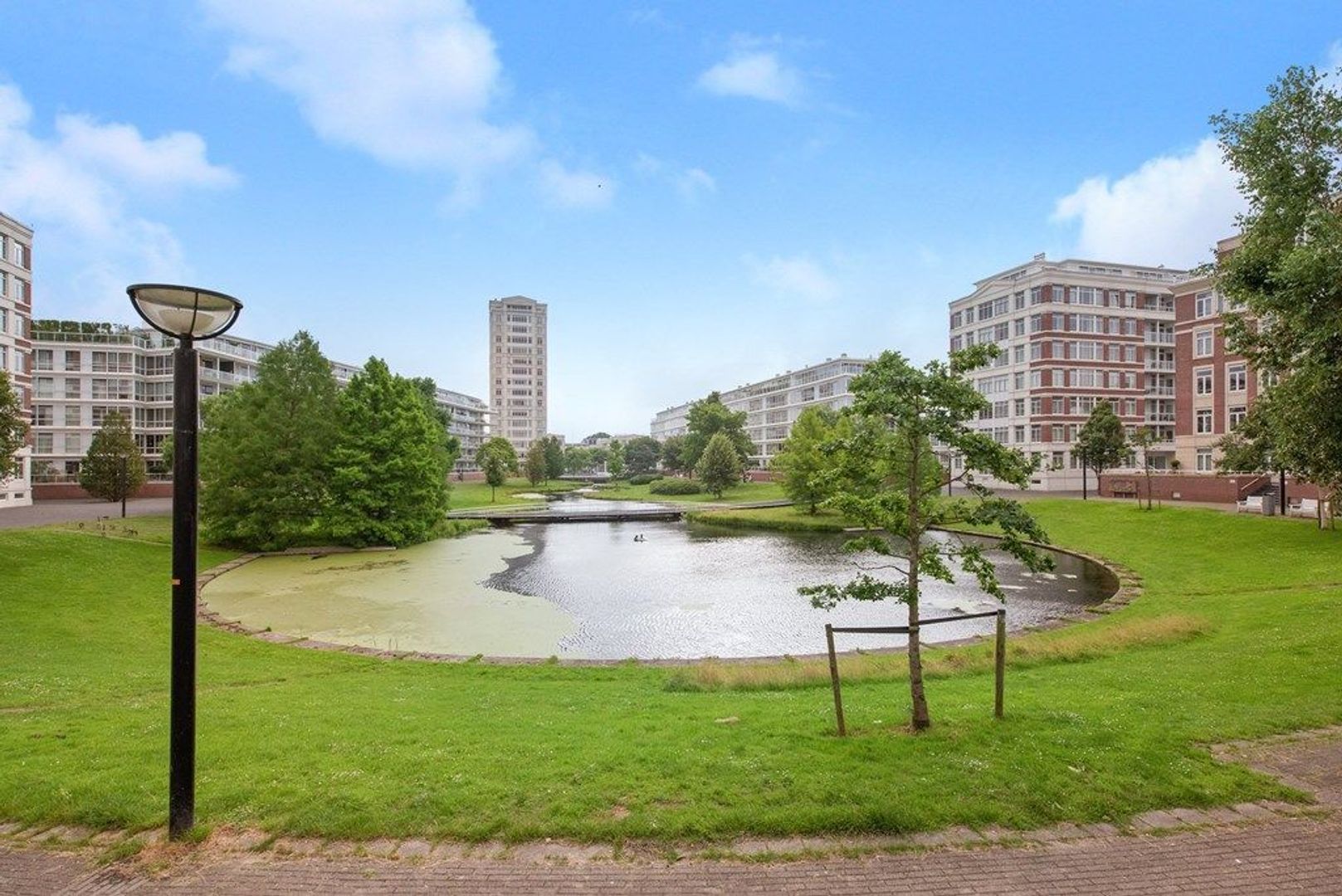 Burgemeester De Monchyplein 156, Den Haag foto-19