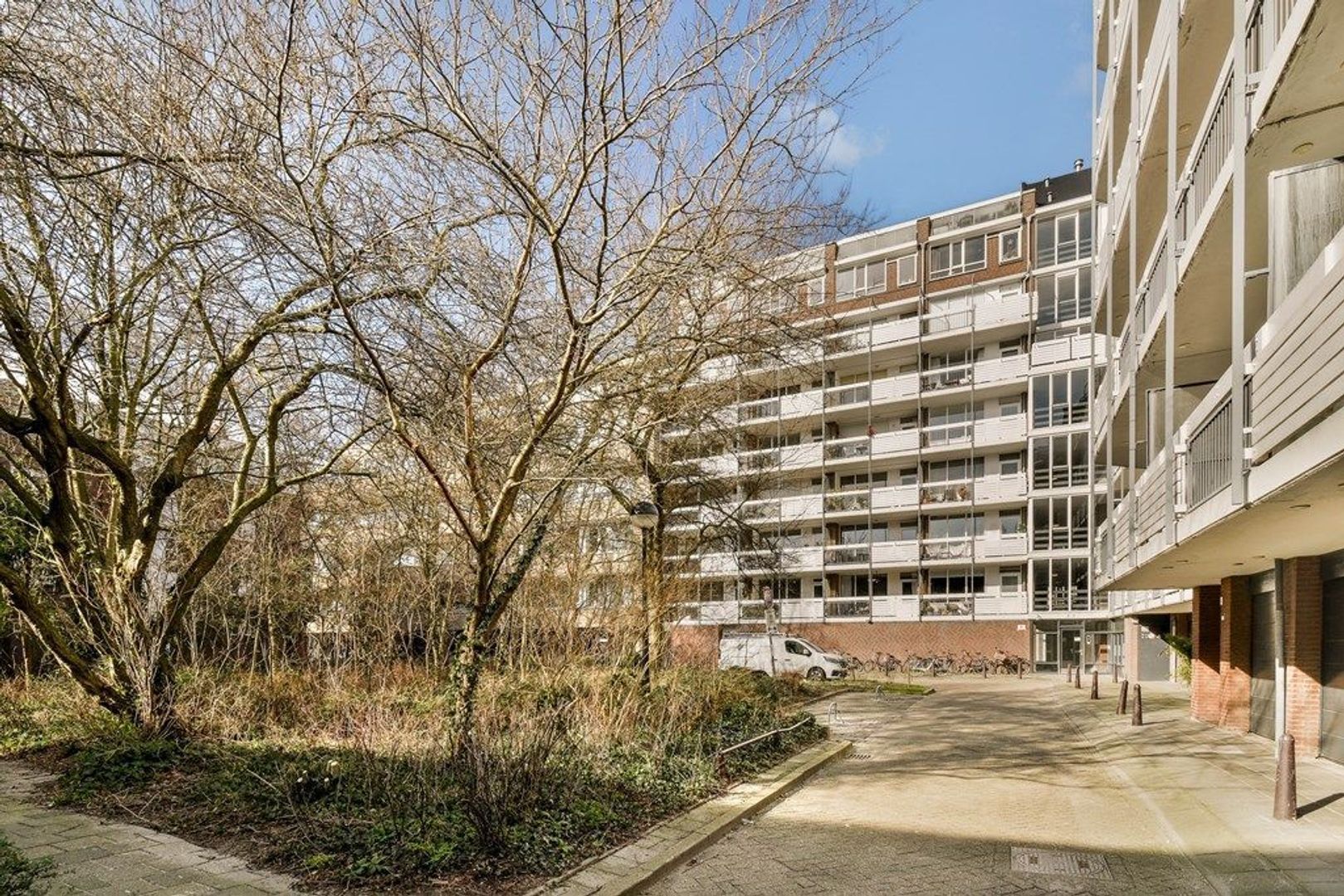 Frederikstraat 393, Den Haag foto-4