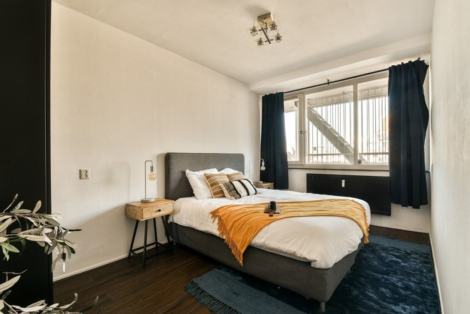 Frederikstraat 393, Den Haag foto-3