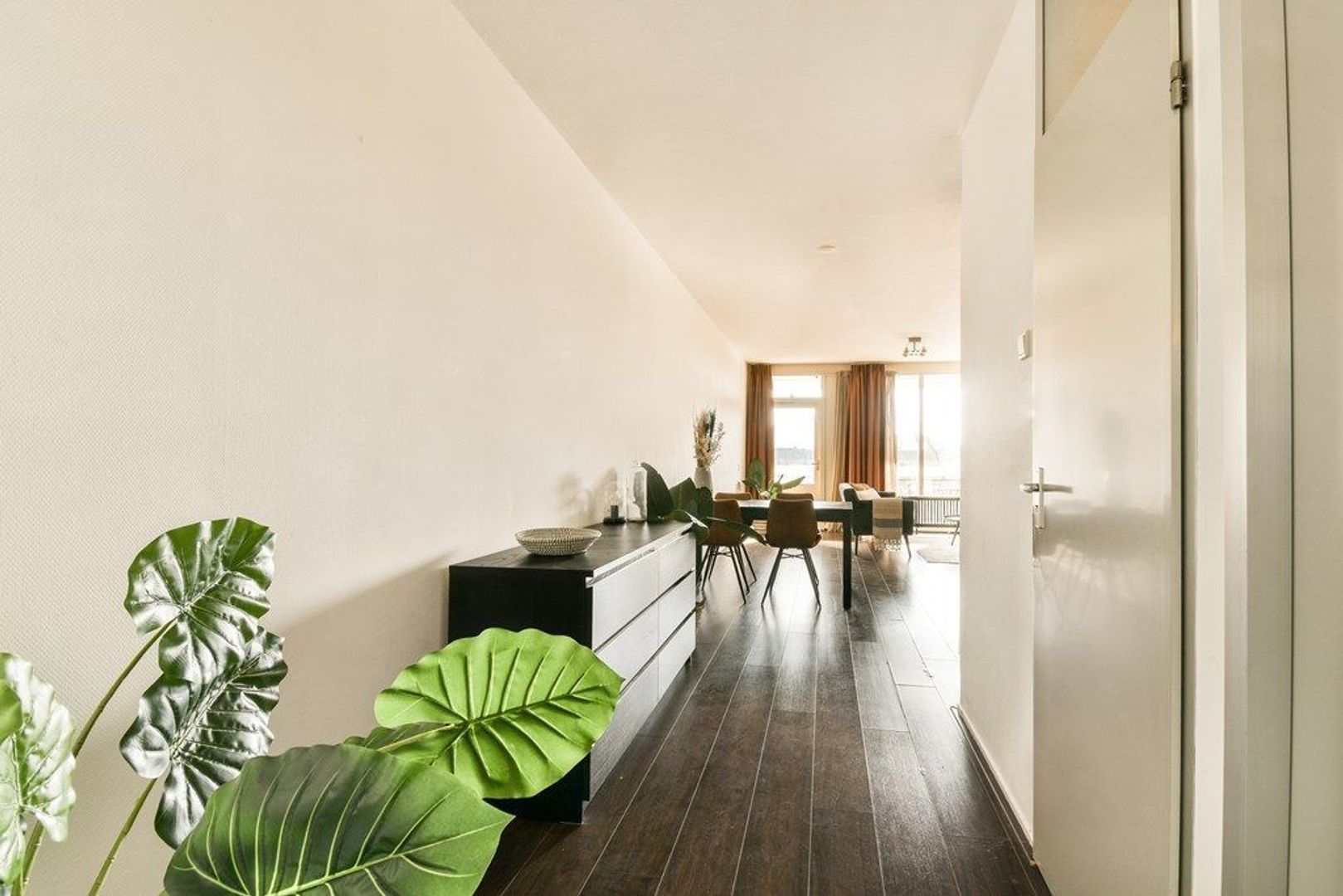 Frederikstraat 393, Den Haag foto-12