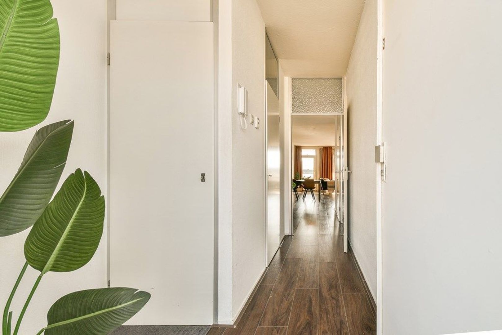 Frederikstraat 393, Den Haag foto-11