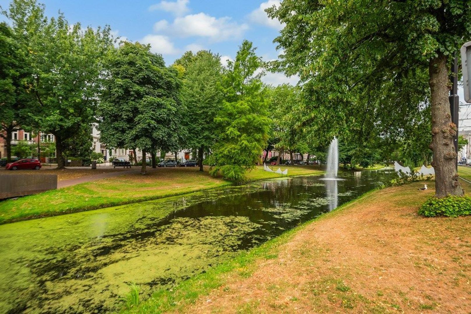 Eendrachtsweg 64 D, Rotterdam foto-15
