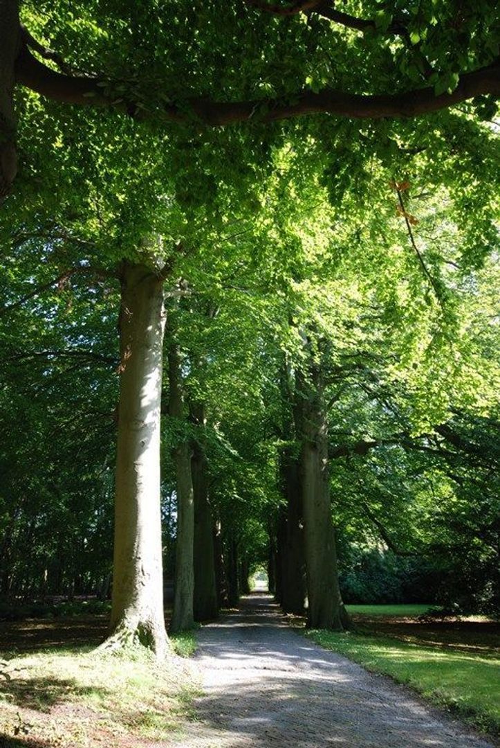 Duindigt, Wassenaar foto-22