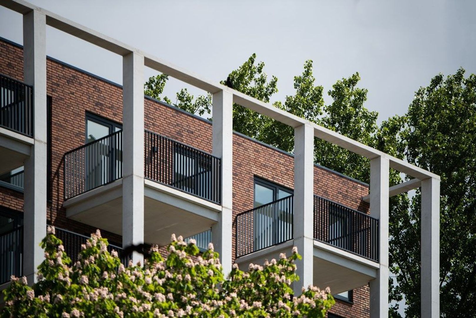 Wilgenplaslaan 198 B04, Rotterdam foto-1