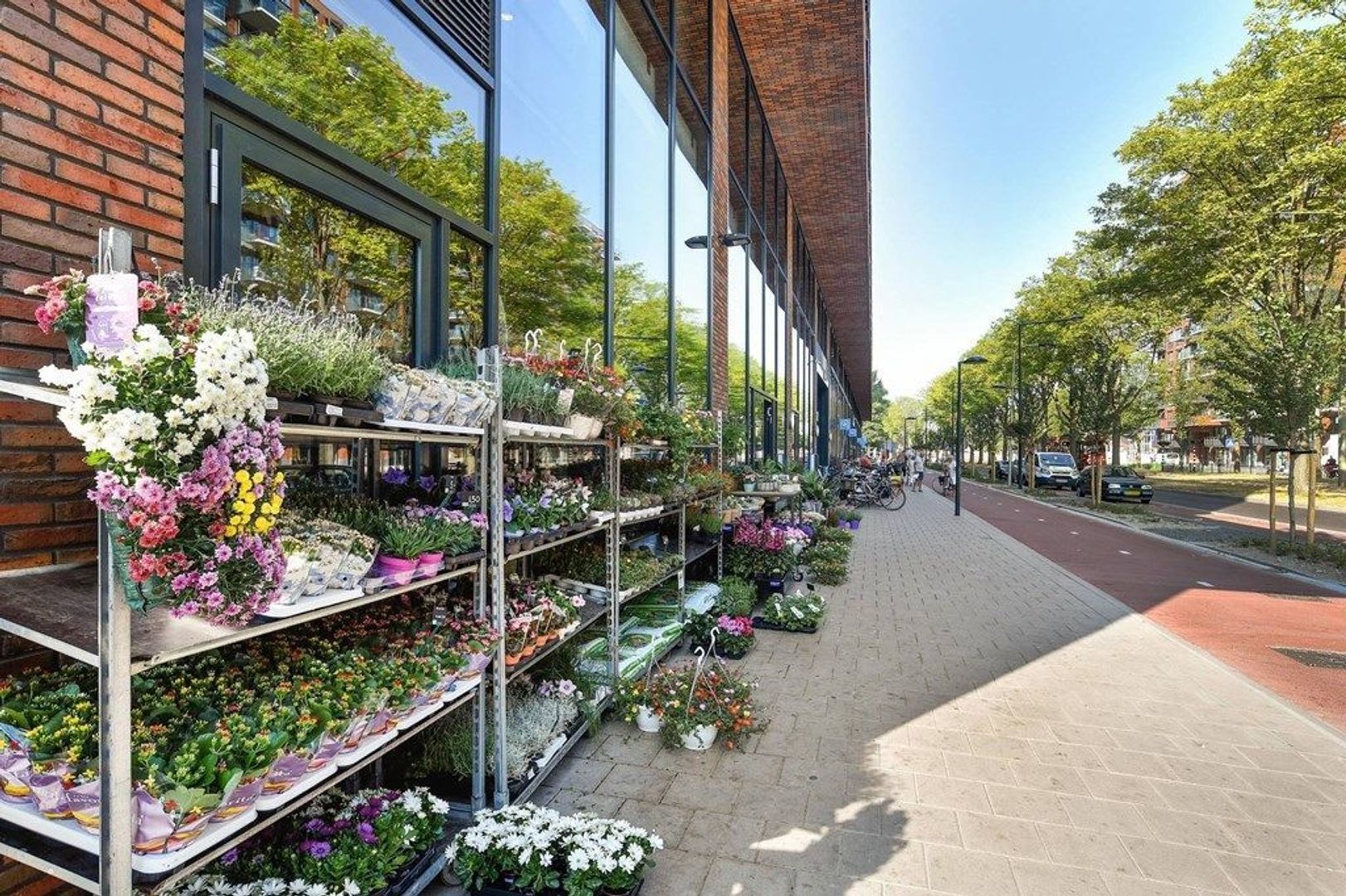 Martinus Nijhofflaan 496, Delft foto-18