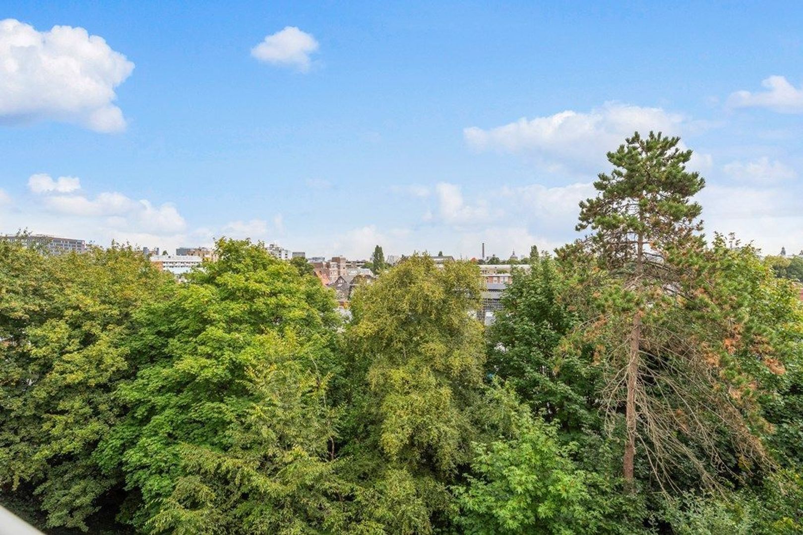 Haagweg 130, Leiden foto-7