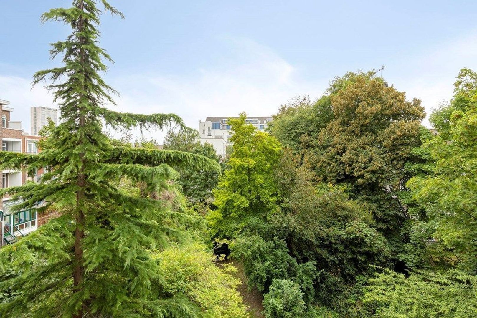 Schiekade 53 C, Rotterdam foto-45