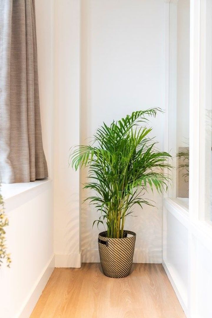 Ungerplein 2 D10, Rotterdam foto-31