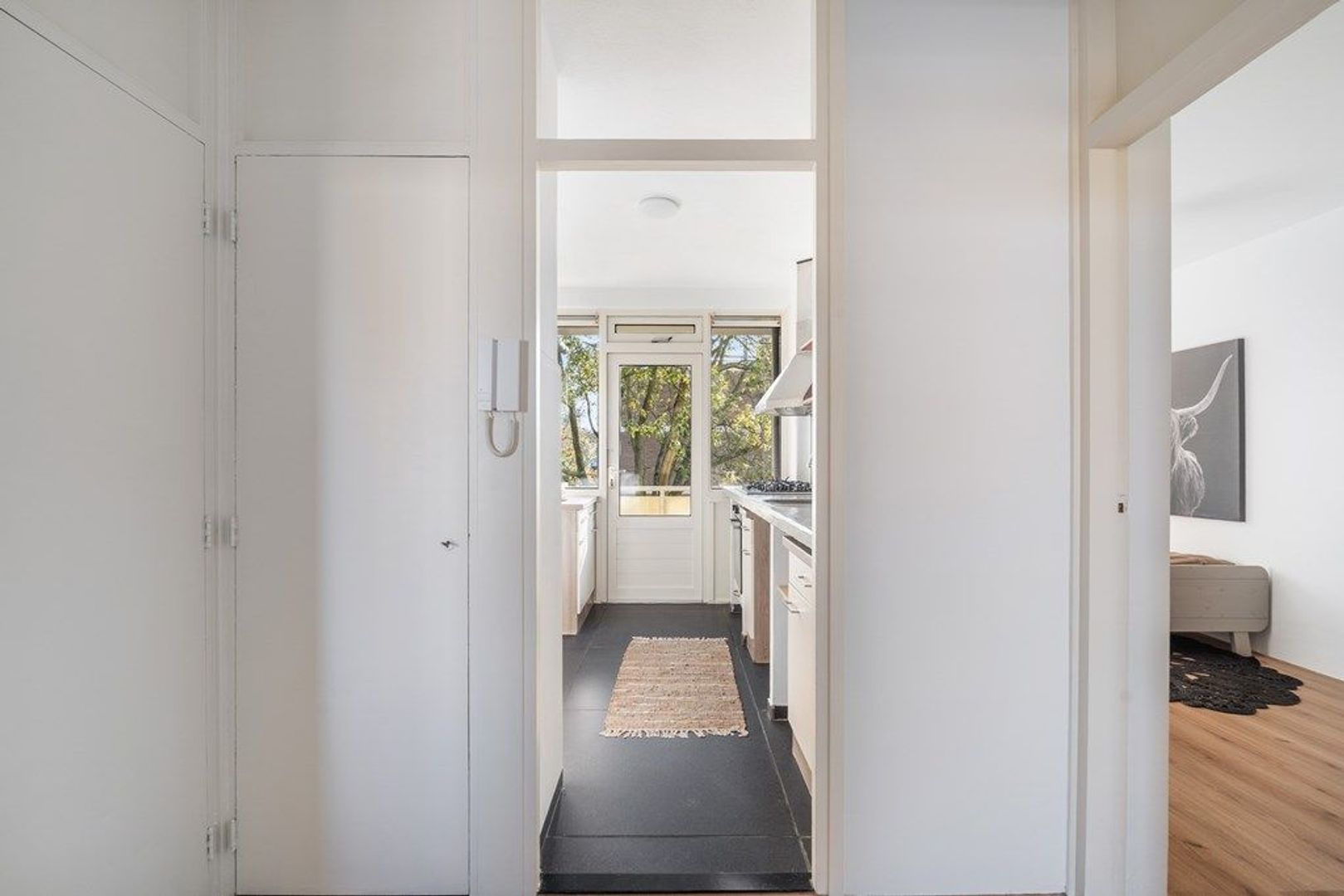 Frans Cobellaan 60, Voorburg foto-17